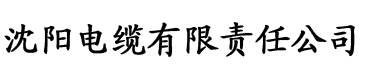 一千零一夜2003电缆厂logo